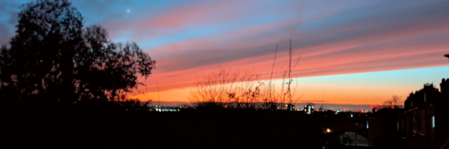 RamblingLu's profile banner image