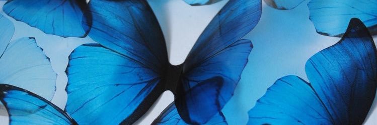 Daddy’s chocolate covered Fantasy banner