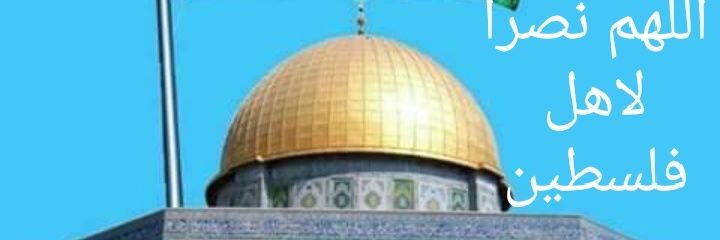 tam_reda's profile banner image