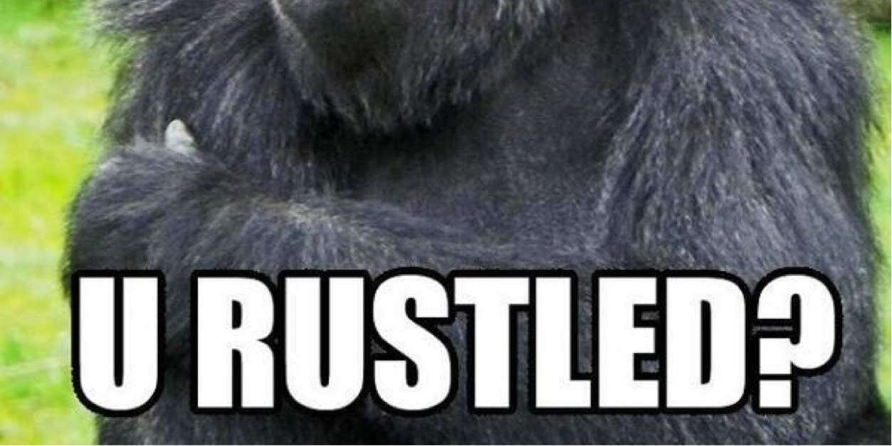 cptnmcgeetom's profile banner image