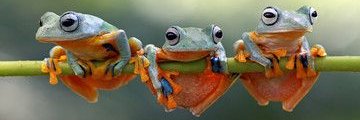 Dawnster17's profile banner image