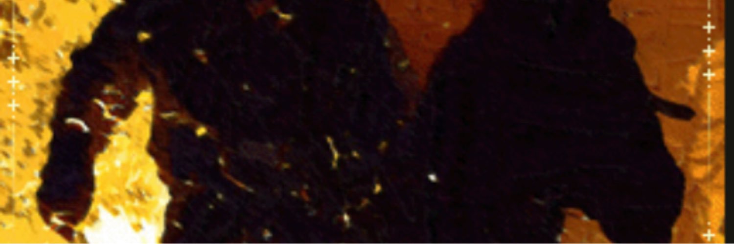 banitamimnet's profile banner image