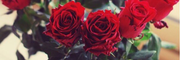 QQ__93's profile banner image