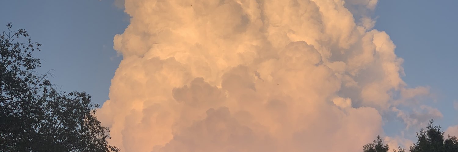domileroux220's profile banner image