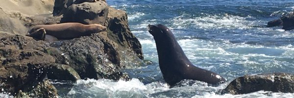 MomokoSuda Profile Banner