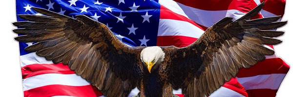 m72953176 Profile Banner