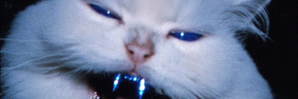 𝙆𝙀𝙍𝙍𝙒𝙄𝙉. banner