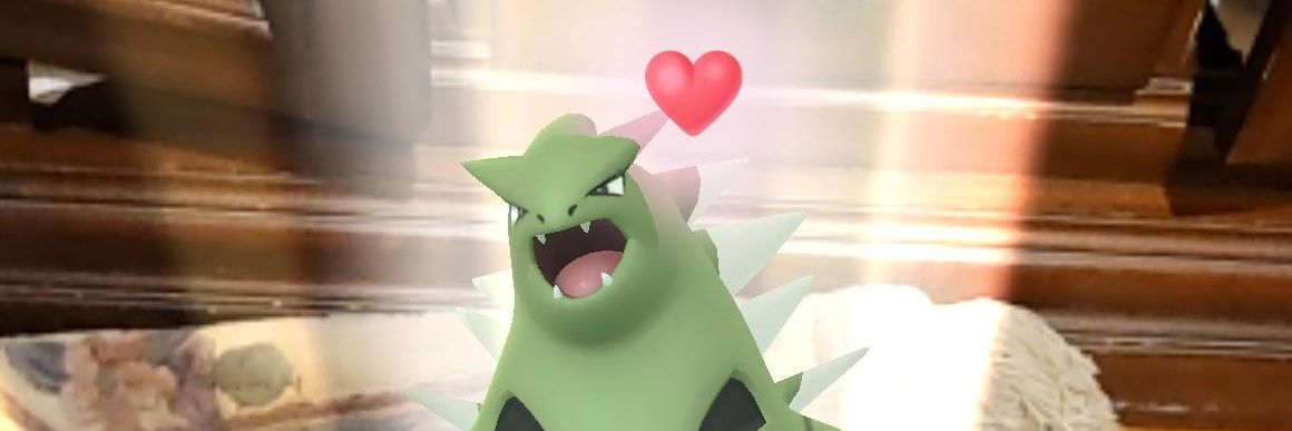 Dog Owner. No crypto. banner