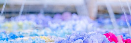 Tag95641819's profile banner image