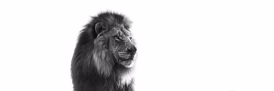 Dean Humphreys banner