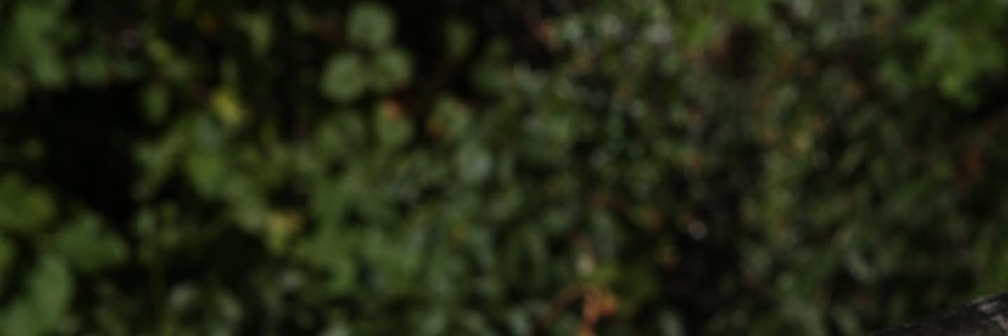 히어로 banner