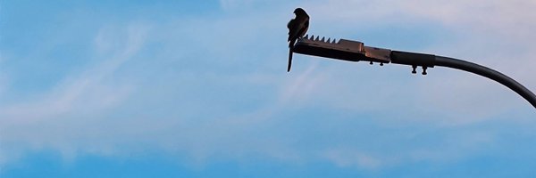s_anuj Profile Banner