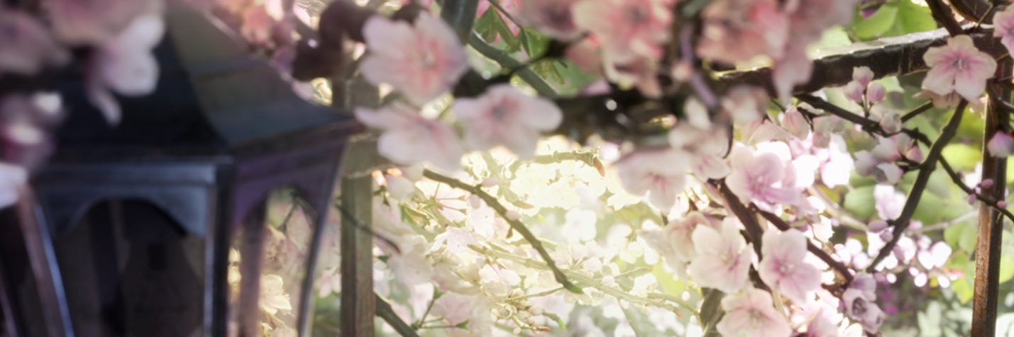 ame🪻₊⊹'s banner