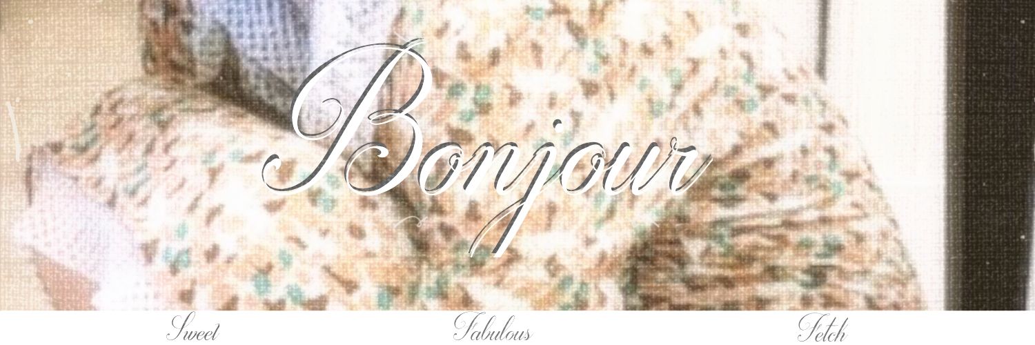 𝒜mayiee 🦕 banner