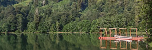 MustiMusK Profile Banner