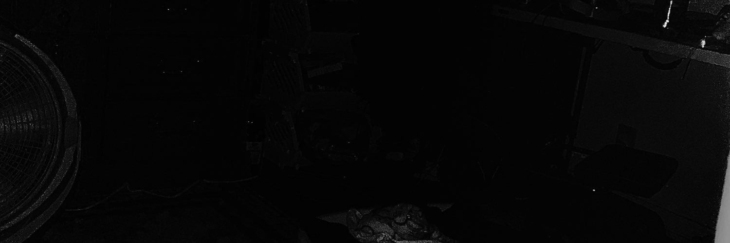 void_critter1's profile banner image