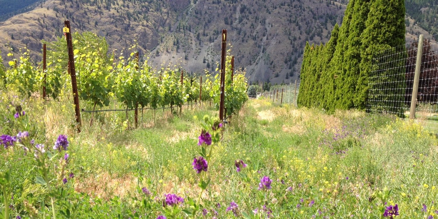 Little Farm Winery banner