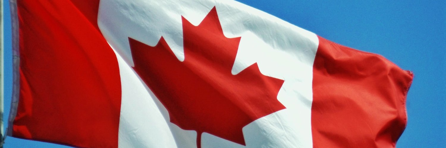 Tapestry 🇨🇦 Trying to Make Sense of the Insanity banner