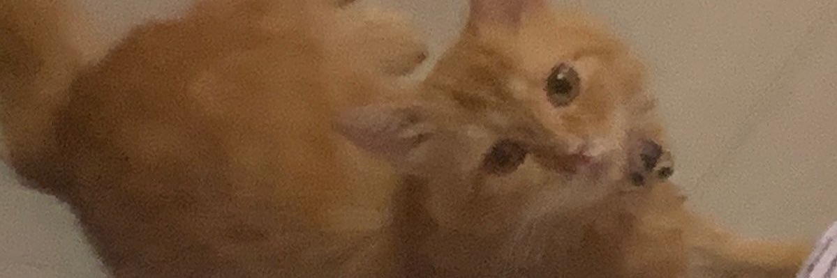 MeQinthara's profile banner image