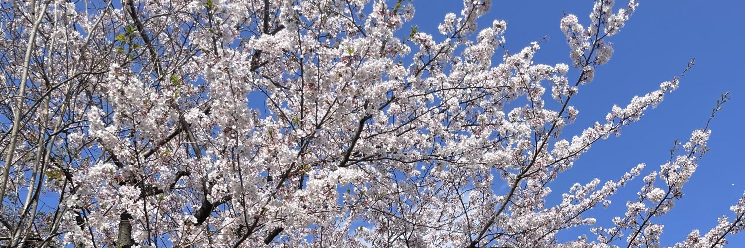 まみまま banner