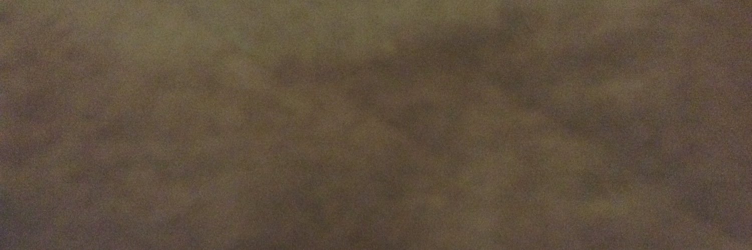 OliveDogs's profile banner image