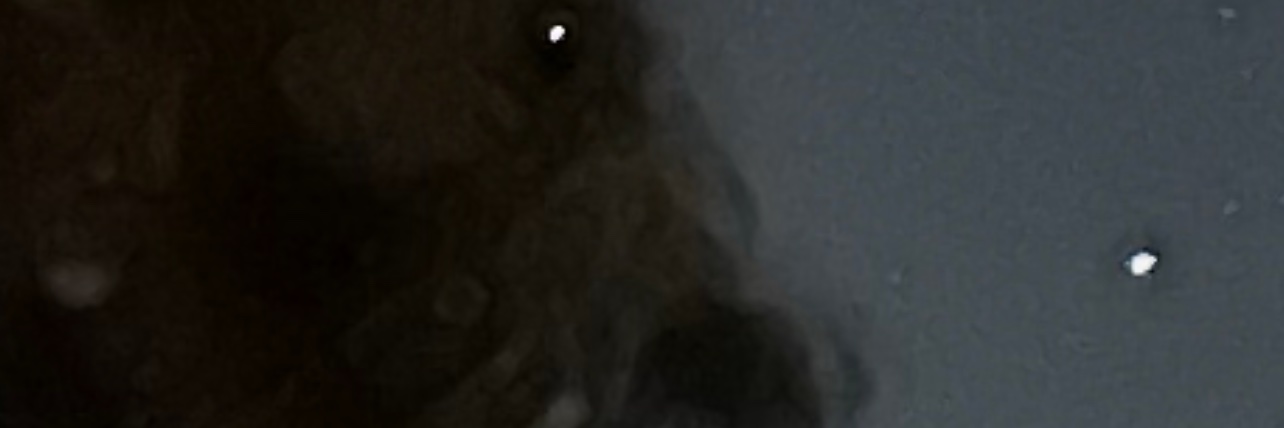 Freak of Frequency banner