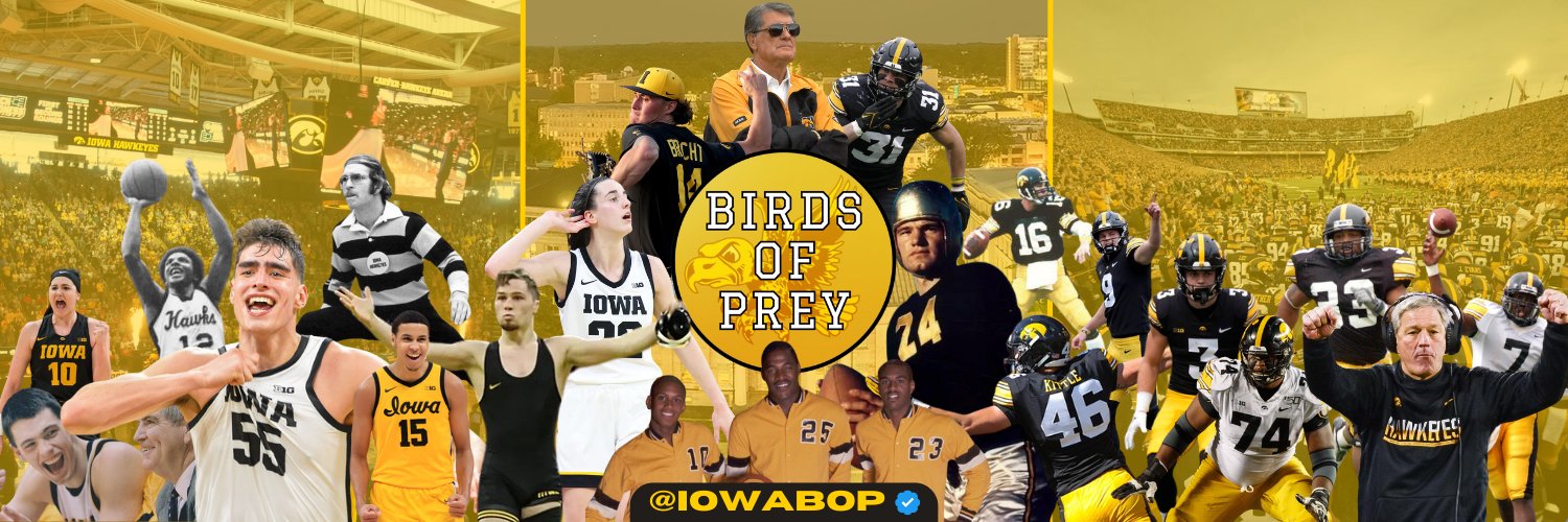 Birds of Prey banner