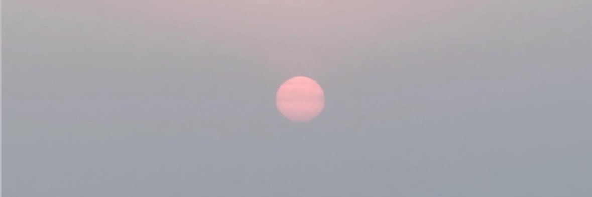 iasofti's profile banner image