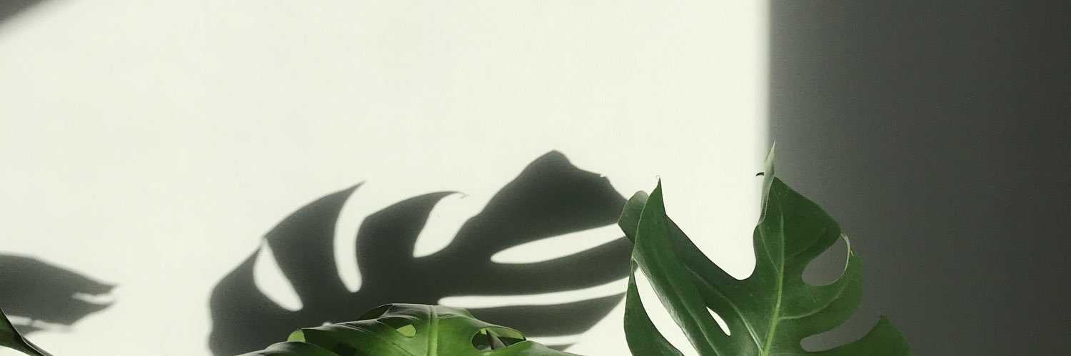 arielladearest's profile banner image