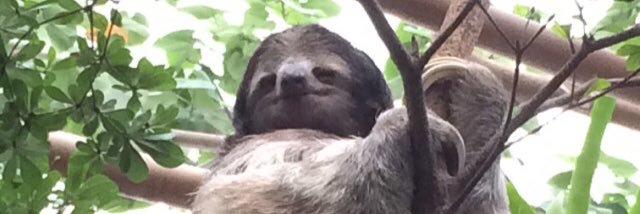 JamieShizuTX's profile banner image