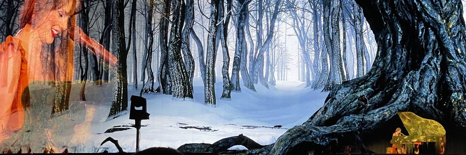 melisavd4's profile banner image