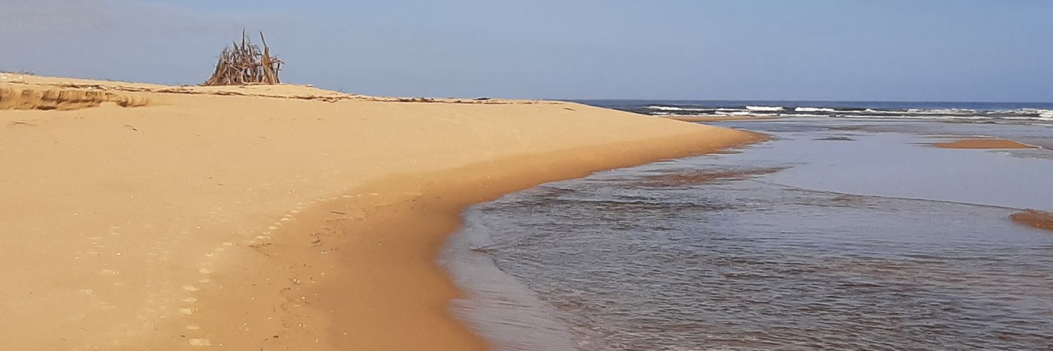 EmmaAlaricia's profile banner image