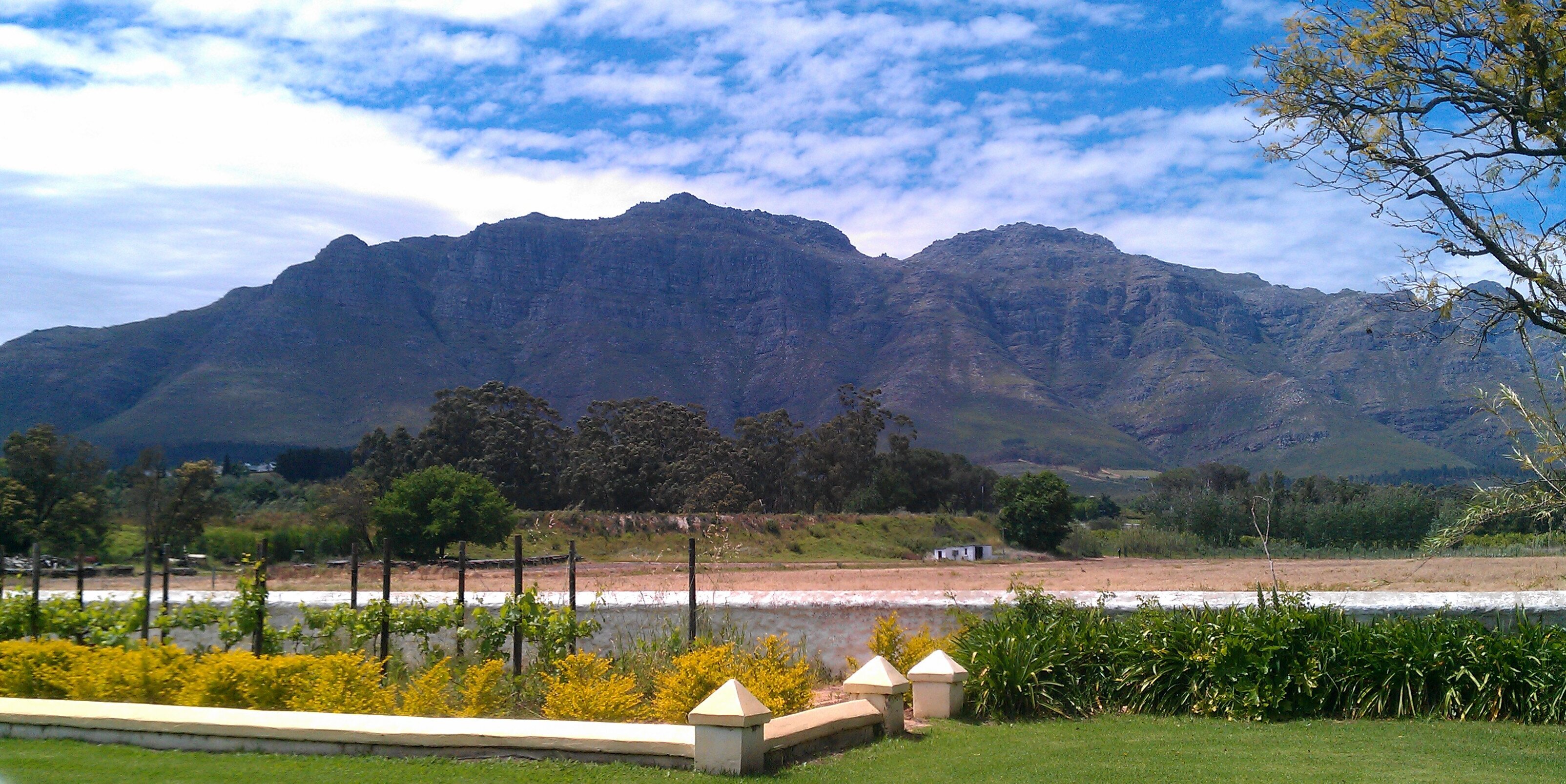 Lucretia Petersen banner