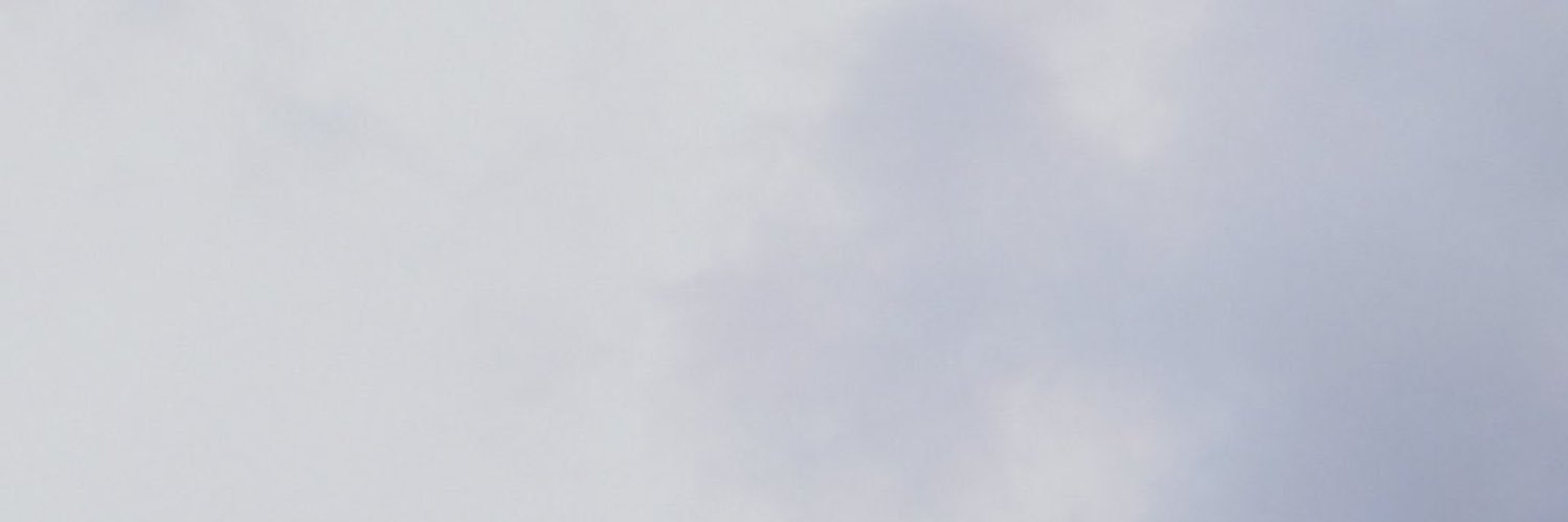 ArianaSpys's profile banner image
