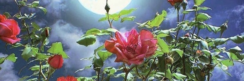 Wolfs_Blood_'s profile banner image