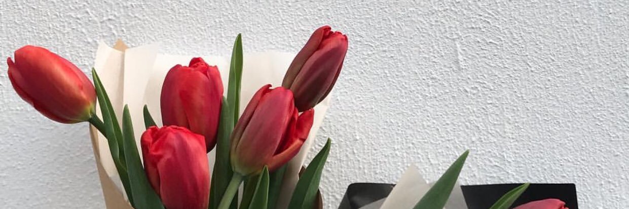 ________s17's profile banner image