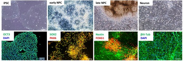 Dr_GCZiegler Profile Banner