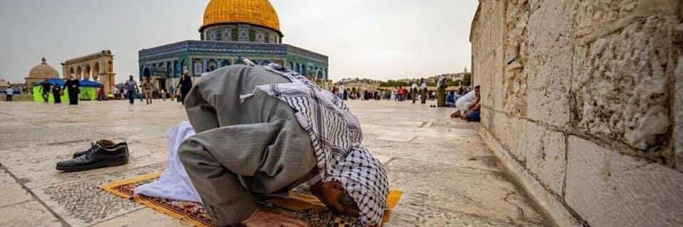 ALHAESAM's profile banner image