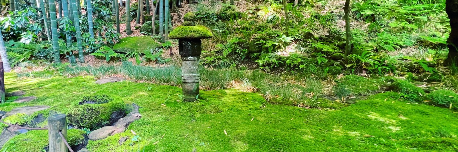 苔むすびの苔師 園田純寛@鎌倉 banner