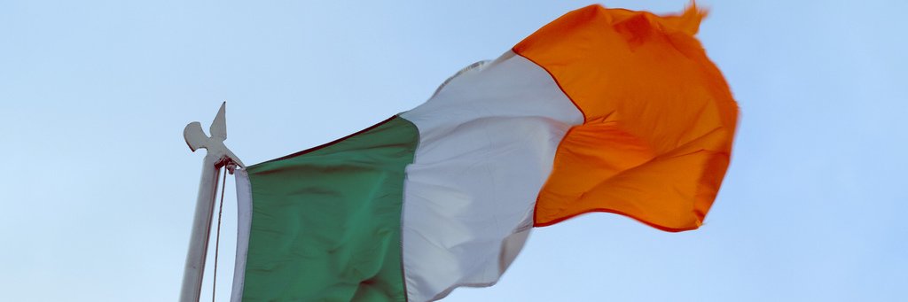 Roots Party Ireland banner