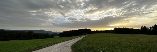 Bernd Prögel Profile Banner