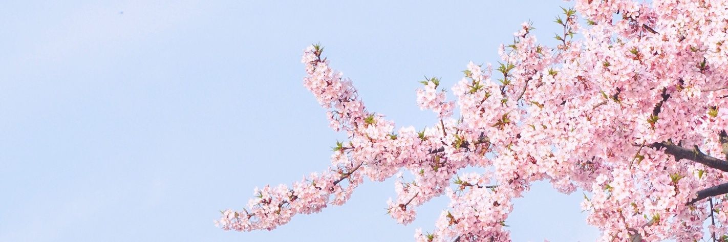 Lizi（互推版） banner