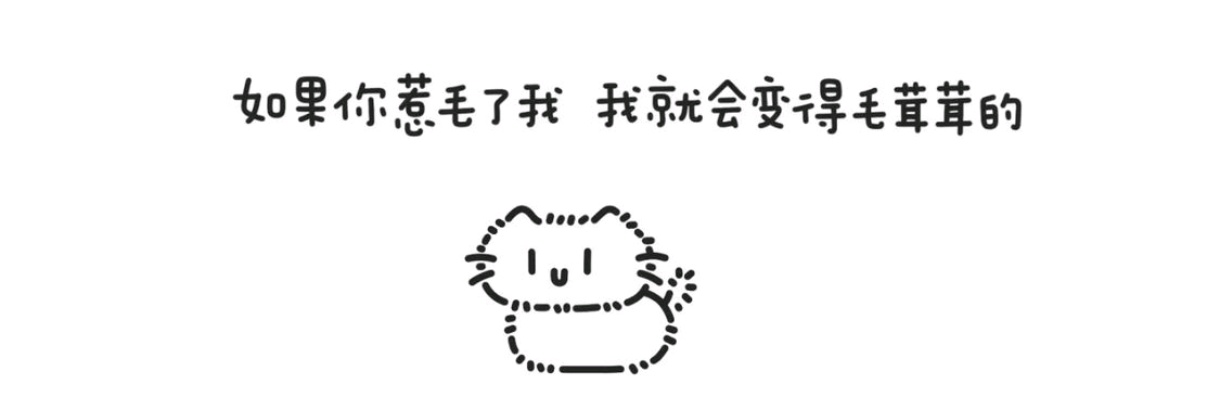 小麦 banner