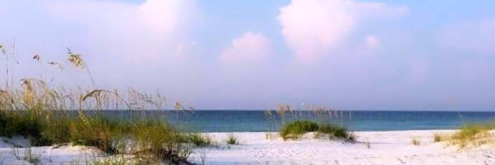 Christine Miller banner