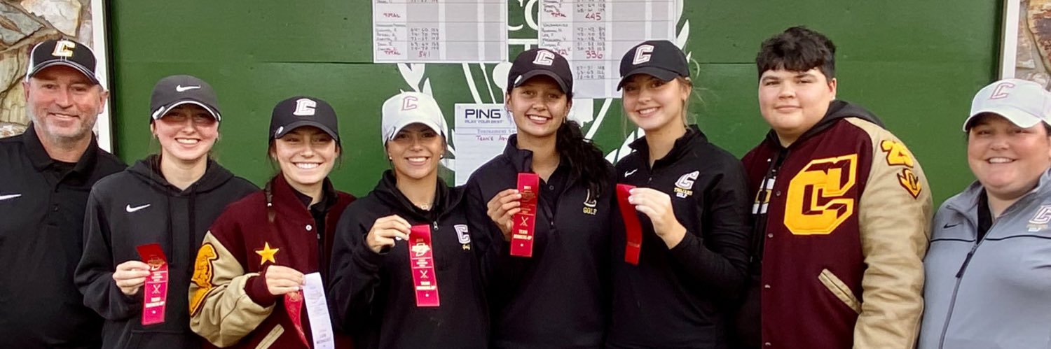 Cori Schultz banner