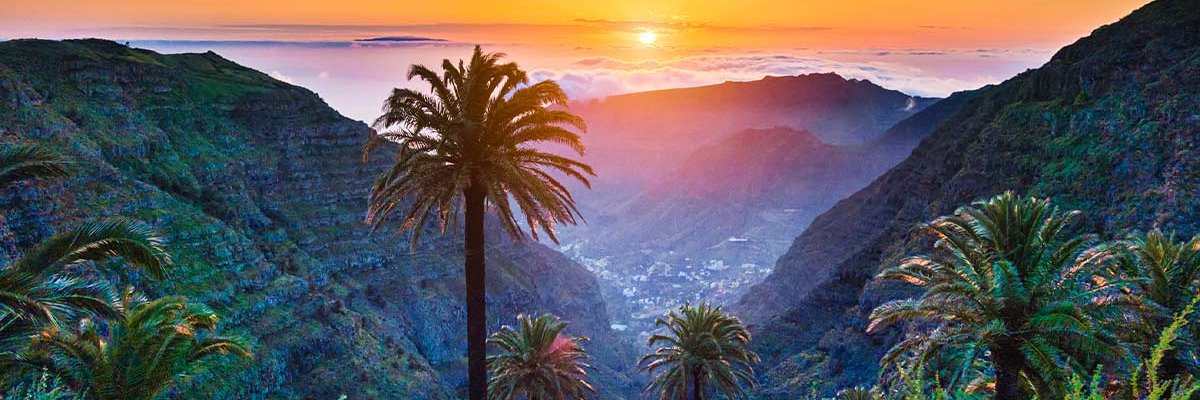 Yeral Delgado banner