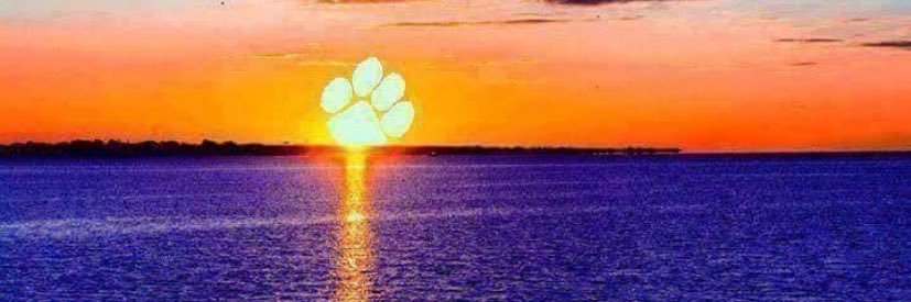 DKdog63's profile banner image