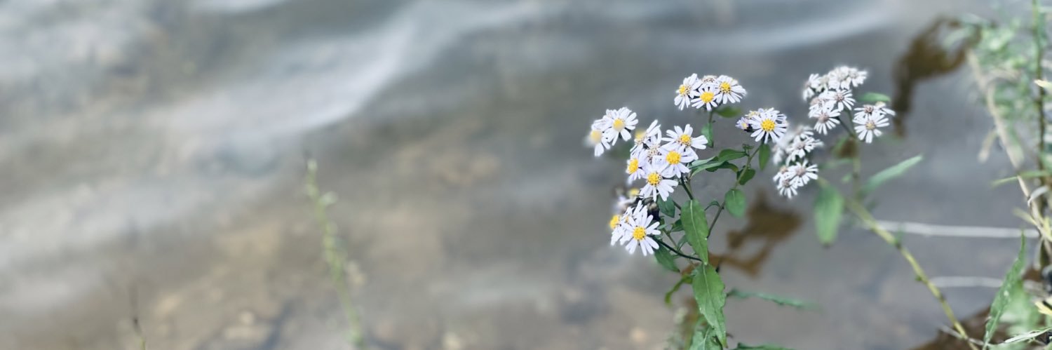 snail_1314's profile banner image