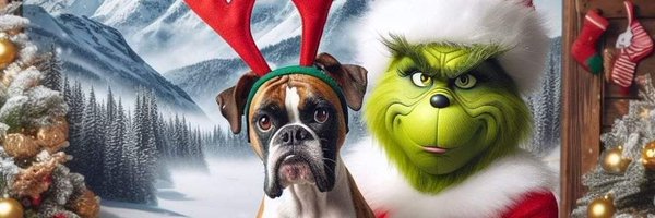 KellyKilljoyTN Profile Banner