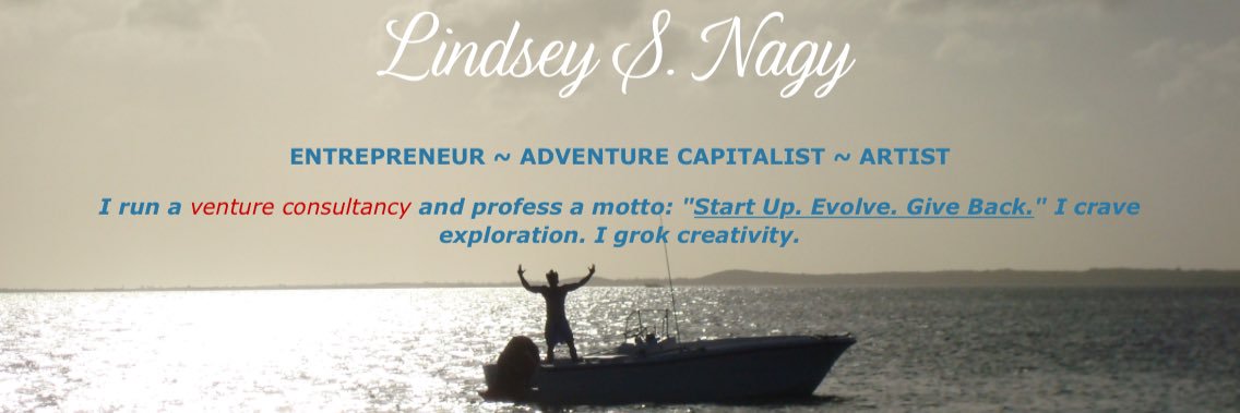 LindseyNagy's profile banner image